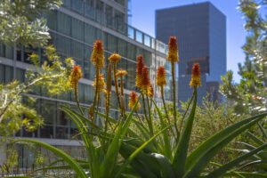 World gardens in the courtyard of a city building, Salesforce Park, in San Francisco, CA.